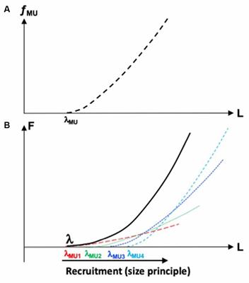 Understanding and Synergy: A Single Concept at Different Levels of Analysis?